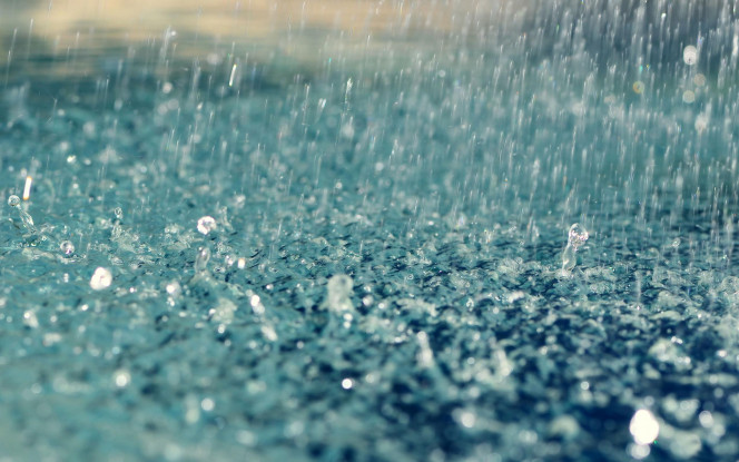 一张美味的图片 &middot; #39