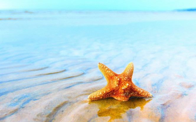 一张美味的图片 &middot; #3034