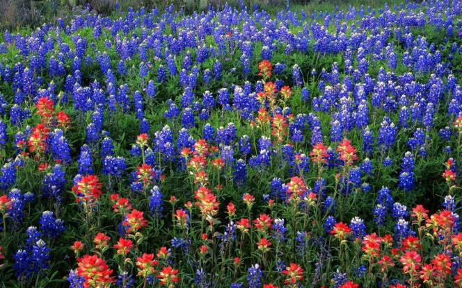 一张美味的图片 &middot; #2209