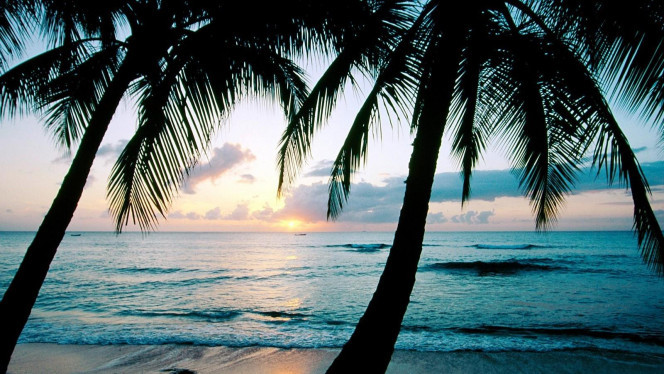 一张美味的图片 &middot; #4578