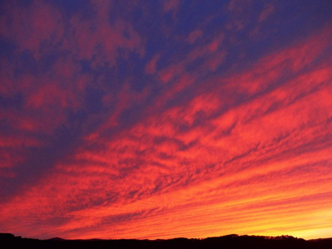 一张美味的图片 &middot; #970