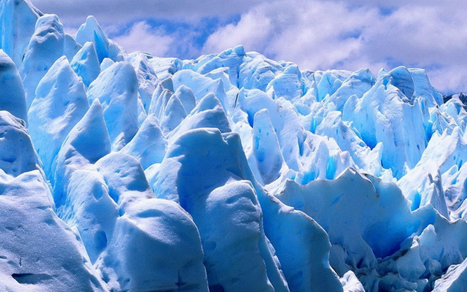 一张美味的图片 &middot; #2452