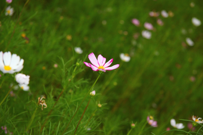 一张美味的图片 &middot; #5137