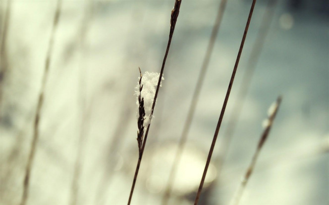 一张美味的图片 &middot; #2677