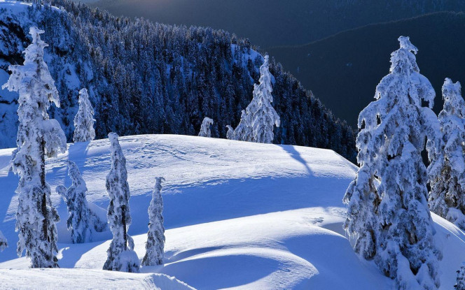 一张美味的图片 &middot; #3203