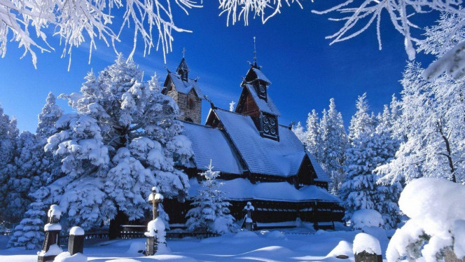 一张美味的图片 &middot; #4114