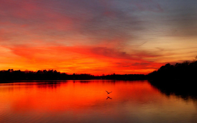 一张美味的图片 &middot; #1289