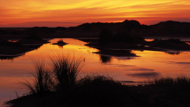 一张美味的图片 &middot; #4278