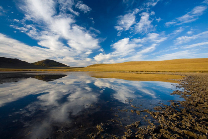 一张美味的图片 &middot; #3798