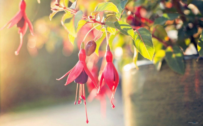 一张美味的图片 &middot; #3369