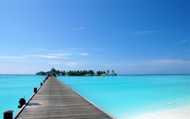 一张美味的图片 &middot; #4277