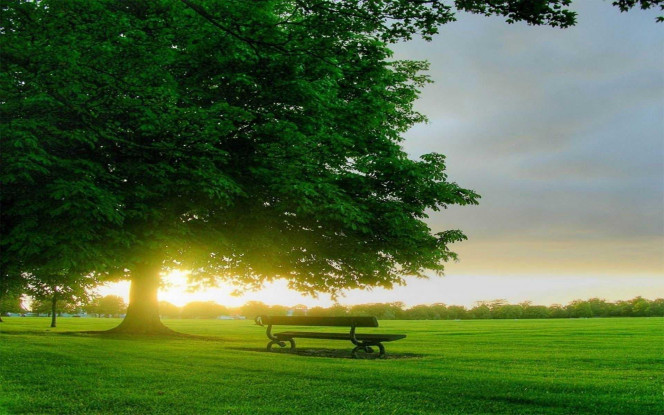 一张美味的图片 &middot; #1579