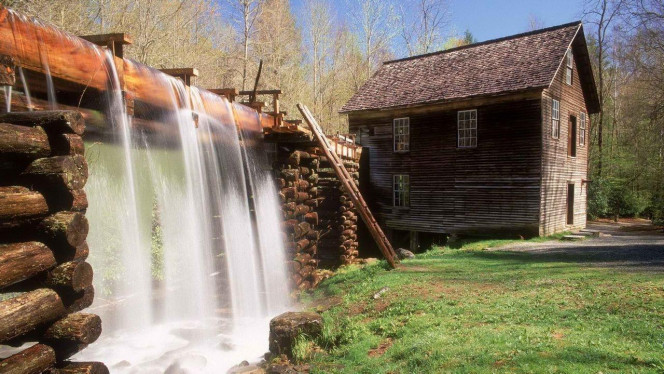 一张美味的图片 &middot; #2911