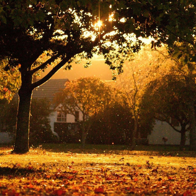 一张美味的图片 &middot; #2269