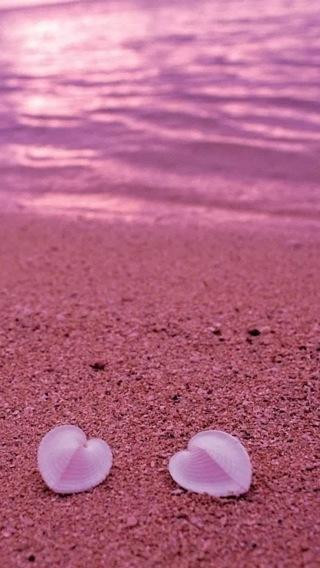 一张美味的图片 &middot; #156