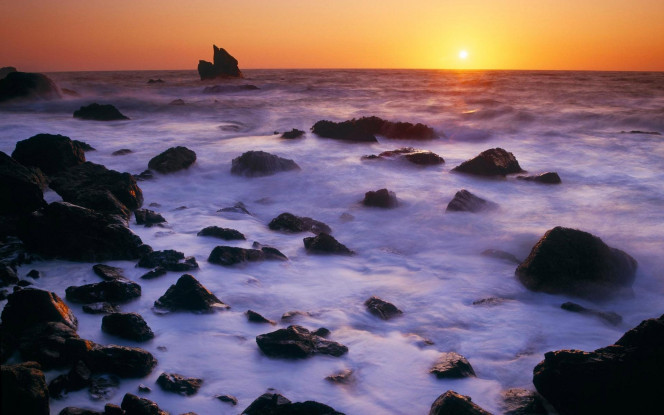 一张美味的图片 &middot; #1355