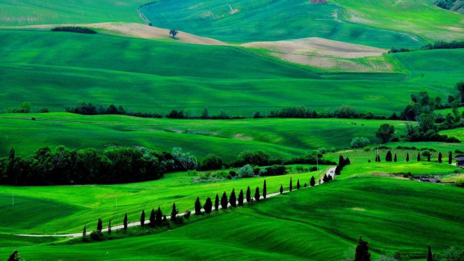 一张美味的图片 &middot; #3876