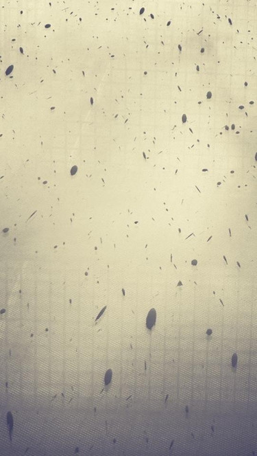 一张美味的图片 &middot; #121