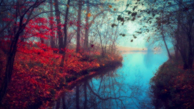 一张美味的图片 &middot; #3318