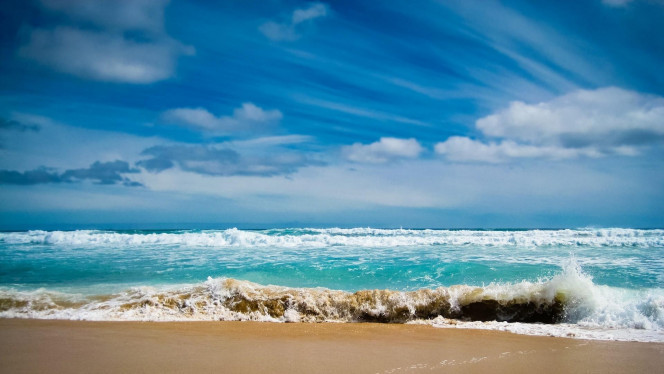 一张美味的图片 &middot; #2365