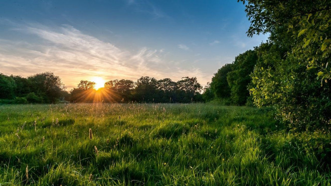 一张美味的图片 &middot; #4126