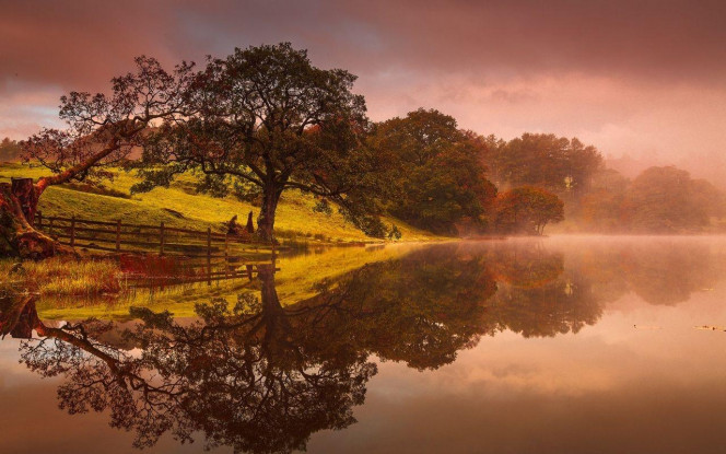 一张美味的图片 &middot; #4108