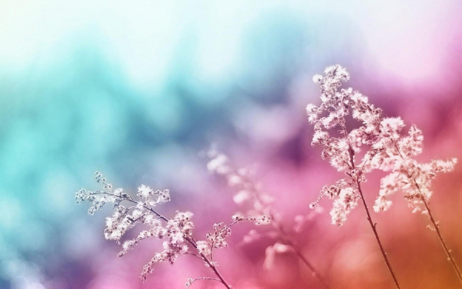 一张美味的图片 &middot; #2479