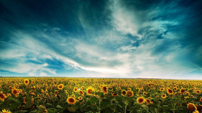 一张美味的图片 &middot; #2415