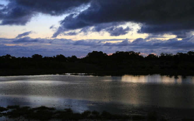 一张美味的图片 &middot; #2635