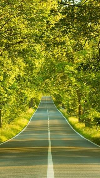 一张美味的图片 &middot; #164