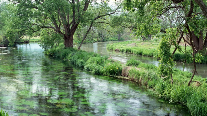 一张美味的图片 &middot; #2431