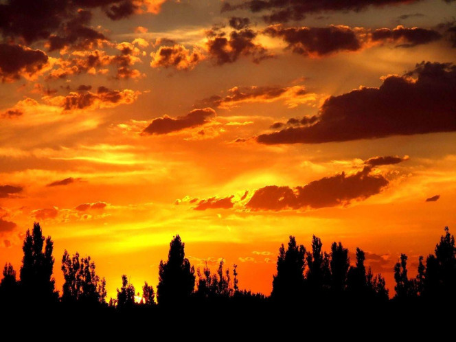 一张美味的图片 &middot; #1378