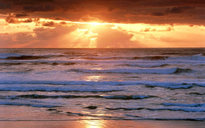 一张美味的图片 &middot; #1446