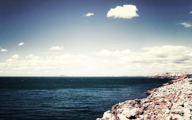 一张美味的图片 &middot; #2290