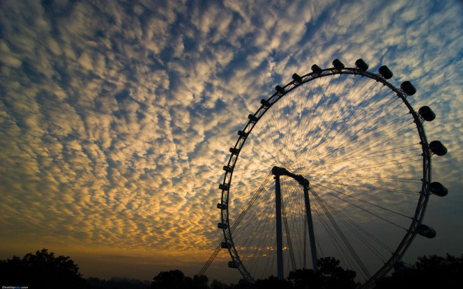 一张美味的图片 &middot; #2038