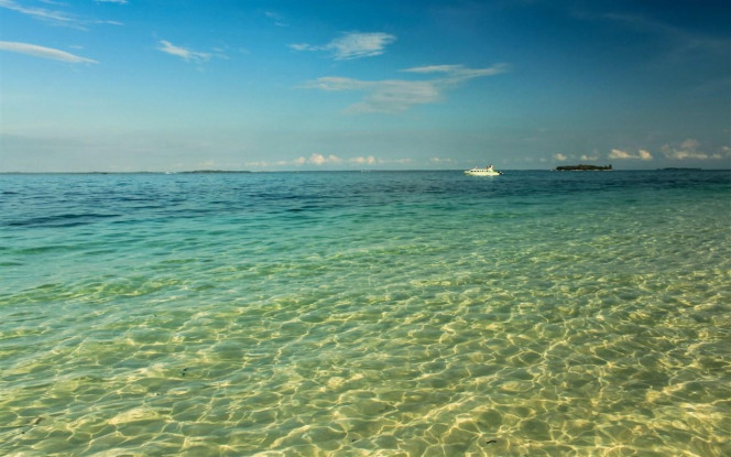 一张美味的图片 &middot; #949