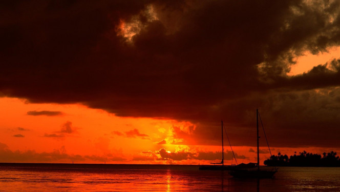 一张美味的图片 &middot; #4116