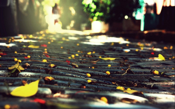 一张美味的图片 &middot; #2769