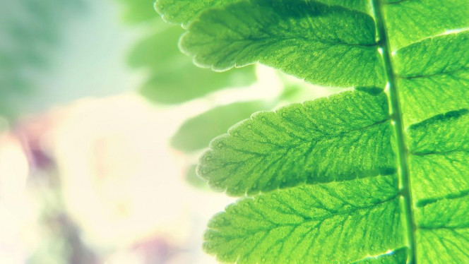 一张美味的图片 &middot; #3469