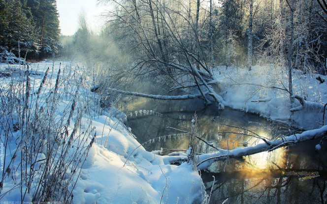 一张美味的图片 &middot; #3371