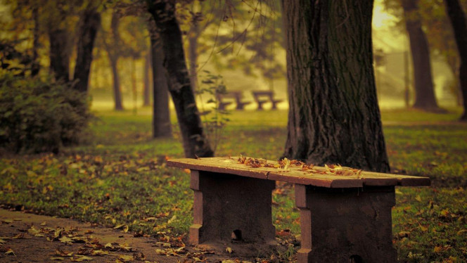 一张美味的图片 &middot; #3325