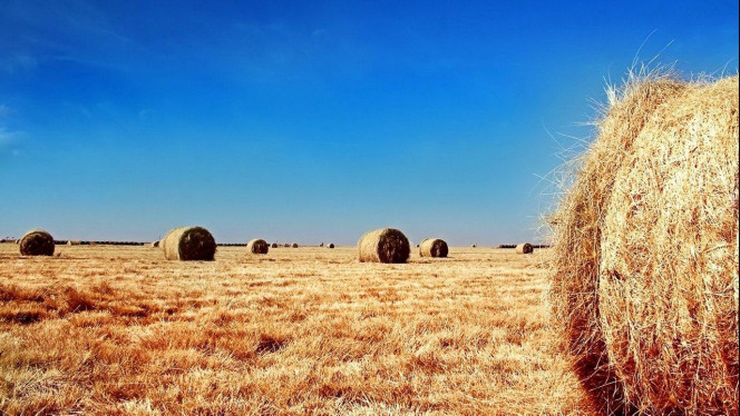 一张美味的图片 &middot; #2680