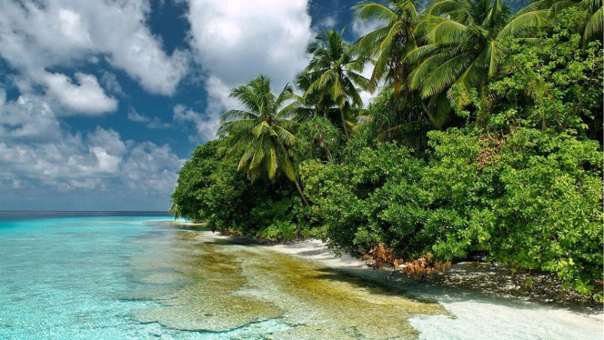 一张美味的图片 &middot; #2470