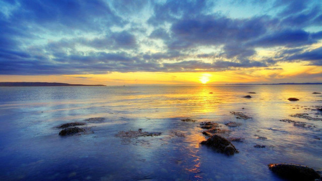 一张美味的图片 &middot; #3451