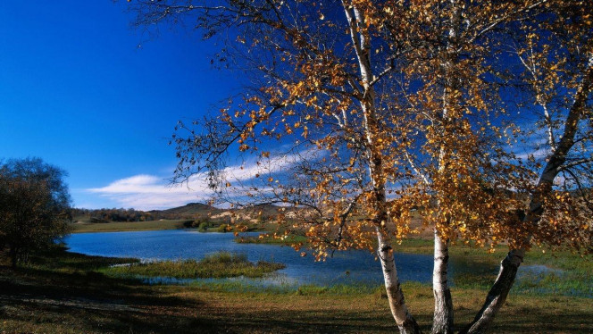 一张美味的图片 &middot; #3280