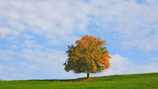 一张美味的图片 &middot; #4118