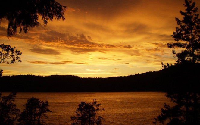 一张美味的图片 &middot; #3006