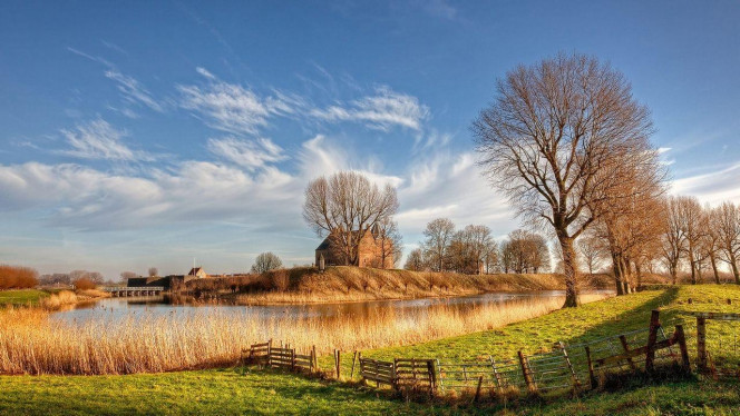 一张美味的图片 &middot; #2962