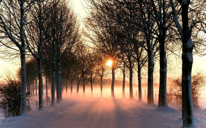 一张美味的图片 &middot; #2651