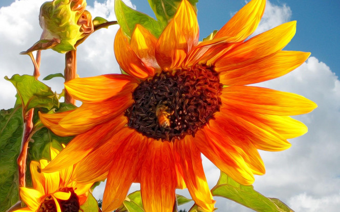 一张美味的图片 &middot; #3213